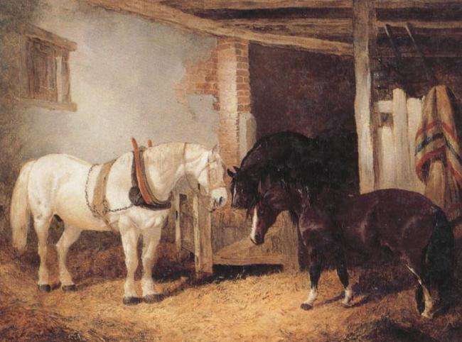 John Frederick Herring Three Horses in A stable,Feeding From a Manger oil painting image